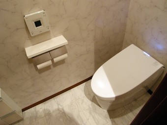 高品質の大理石水磨き調床タイルとハイブリッド節水トイレ 高品質の大理石水磨き調床タイルとハイブリッド節水トイレ